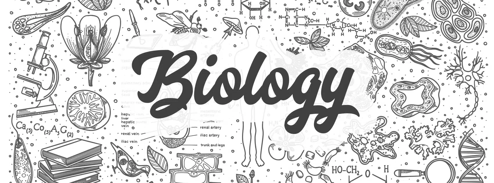 Ap Bio Test 2024 Practice And Respond Gerty Catarina