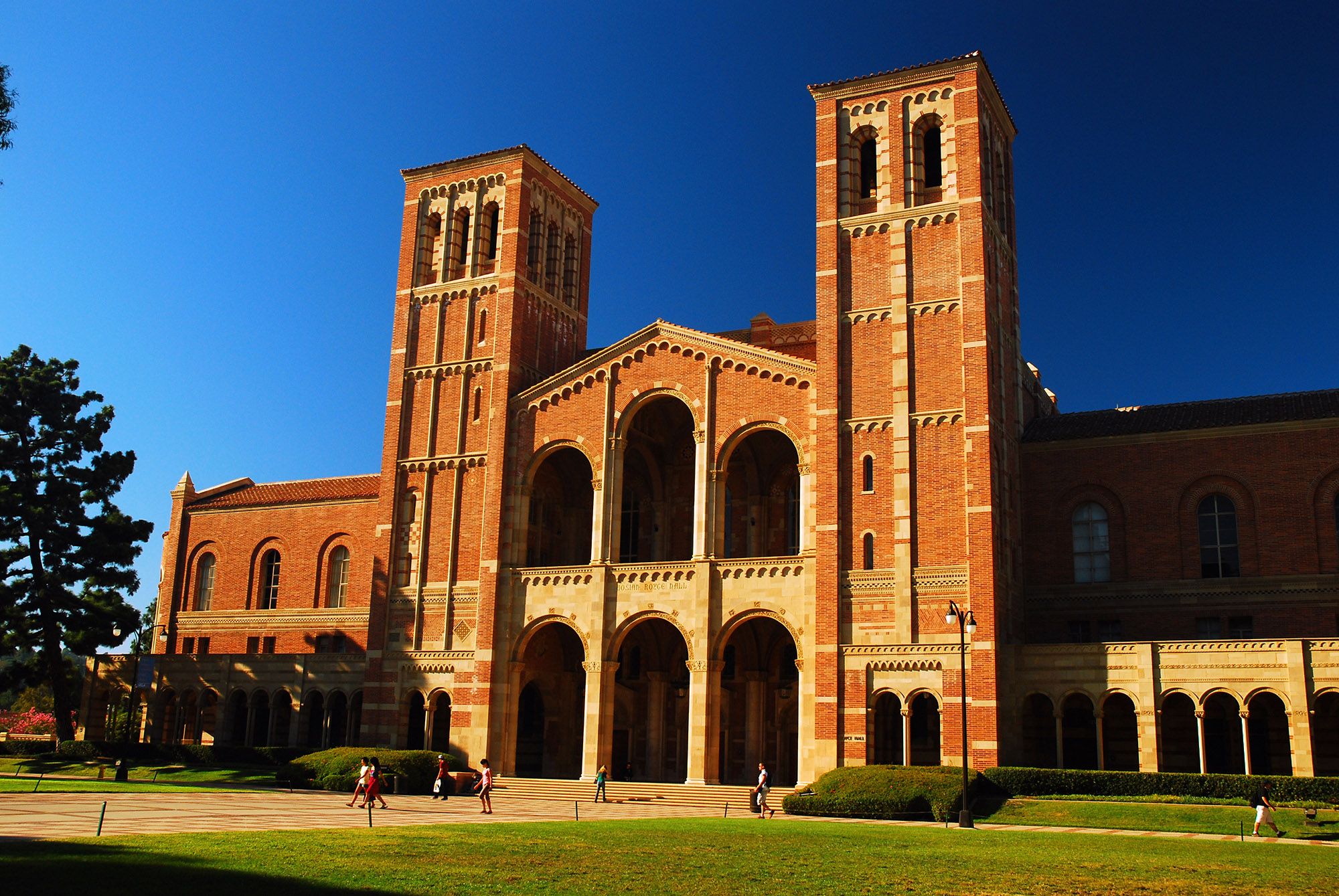 Is UCLA Test Optional? AdmissionSight