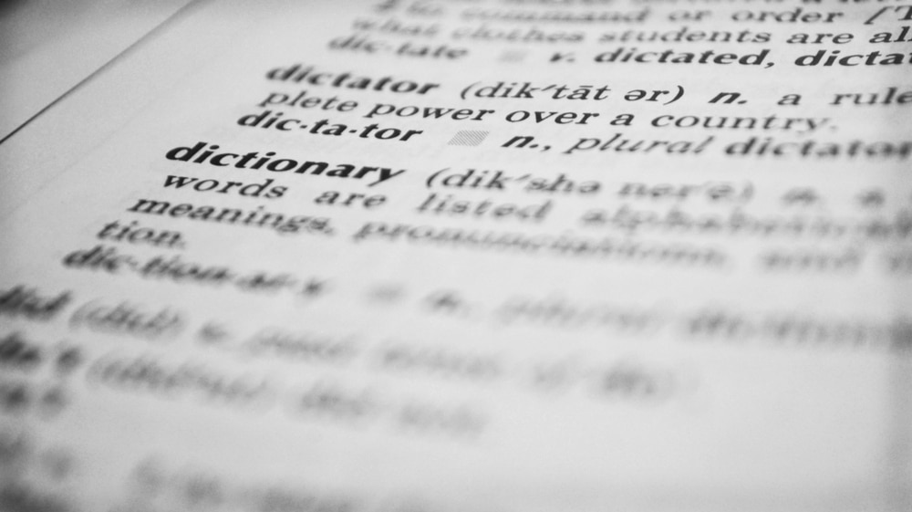 the word dictionary shown and some other blurred words
