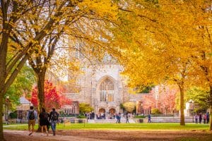Beautiful fall colors of trees and fallen leaves outside Sterling Memorial Library at Yale University.