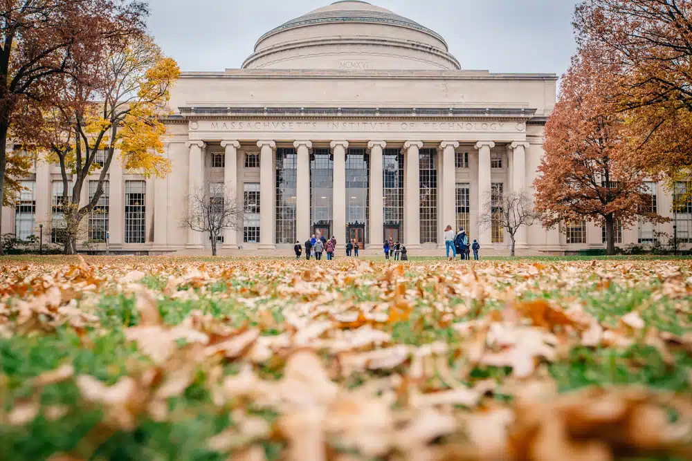 MIT's old, white building with trees on each side and fallen leaves on the lawn.