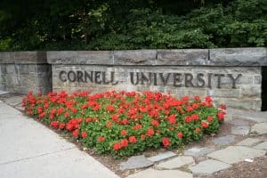 Entrance sign to Cornell University on a wall rock.