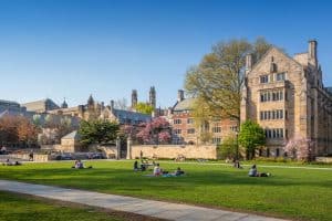 Students sitting on the grass at the Yale University campus.