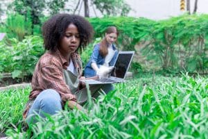 Young women uses laptop to analyze and research agricultural crops.