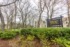 Signage of Northwestern university placed near dead trees.