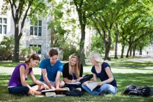 Group of students studying in the school grounds.