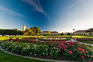 View of Stanford University gardens on a sunset.