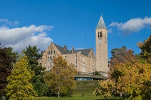 How Big Is Cornell University?
