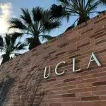 UCLA essay examples