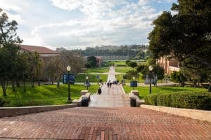 View of school campus with brick pathway.