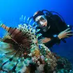 A scuba diver observes a lionfish near a coral reef, symbolizing marine biodiversity studied in the National Ocean Science Bowl.