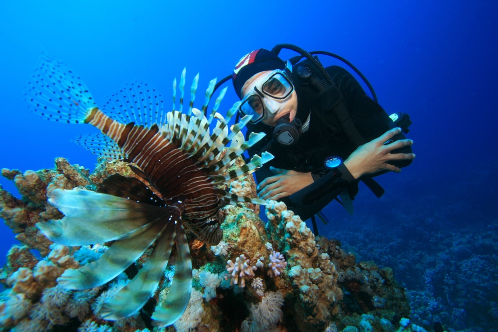 A marine biologist in a scuba diving suit diving under the ocean and observing a fish with colorful fins