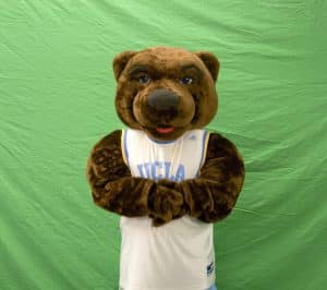 Joe Bruin, the UCLA official mascot