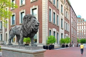 a lion, the inspiration behind columbia official mascot