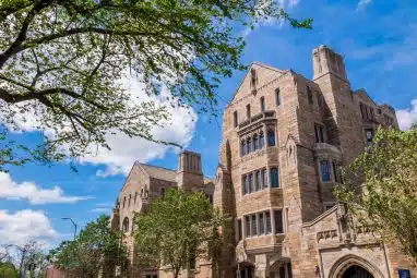 View of those applying to Yale University showing the building with some trees on the side.