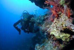 a marine biologist diving deep in the ocean examining a wall of corals