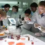 a group of science student wearing their complete laboratory outfit and working inside the lab