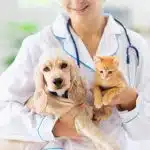 best veterinary schools