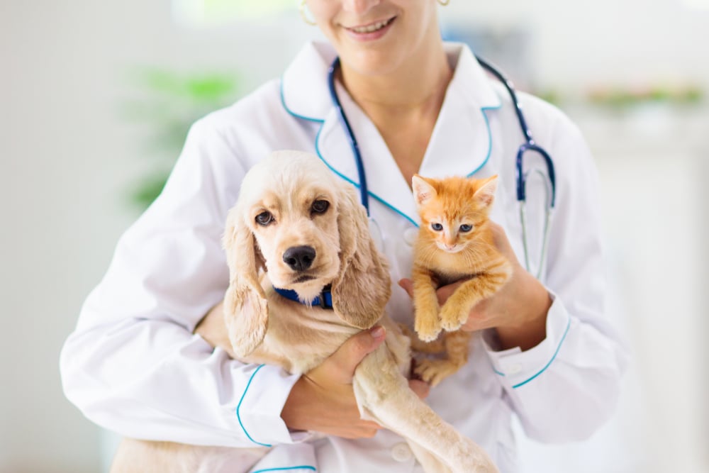 a veterinarian carrying a dog and a cat