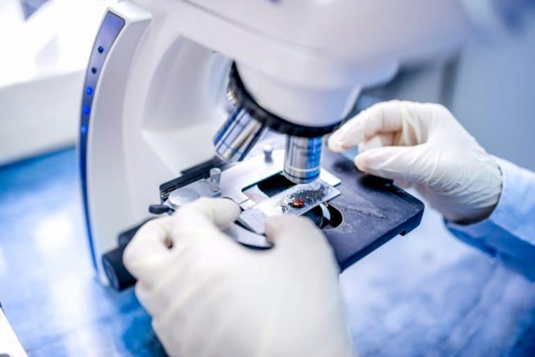 Close-up Of Scientist Hands With Microscope Examining Samples And Liquid