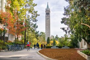 Berkeley Diversity Statistics