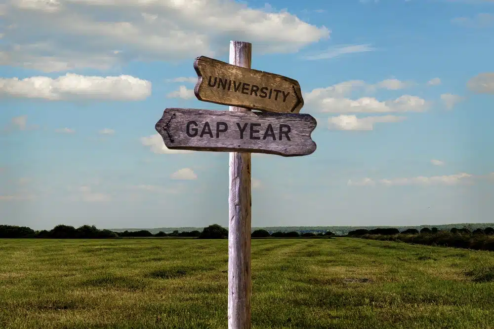 pros and cons of gap year