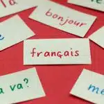 Notes with different French words.