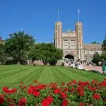WashU Supplemental Essays 2024-2025: Writing Tips + Examples