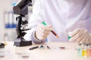 Male entomologist working in the lab on new species