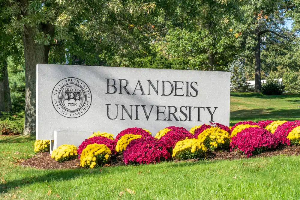 Brandeis Bound? A Comprehensive Exploration Of The Pros And Cons Of ...