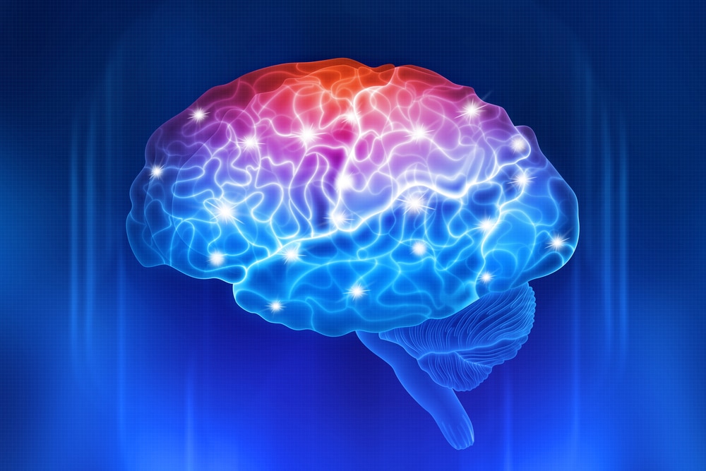 Digital View of the human brain.