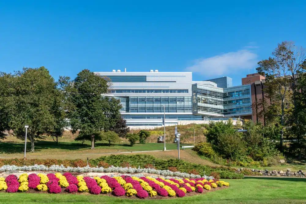 View of Brandeis University campus