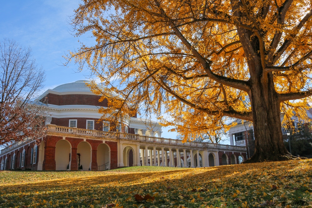 Fall at University of Virginia