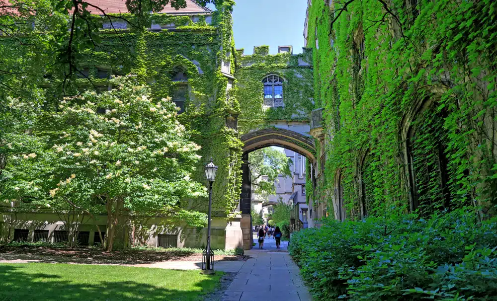 Uchicago Decision Date 2025