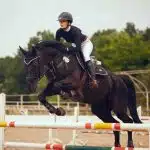 Equestrian sport