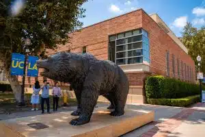 Man photographing bronze statue of Bruin with smartphone at campus of UCLA with college building in the background