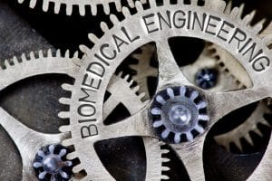 an image with "biomedical engineering"