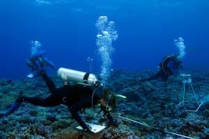 Marine Biologists surveying ocean floor