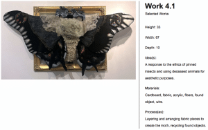 AP 3-D Art and Design