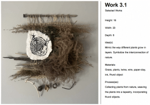 AP 3-D Art and Design