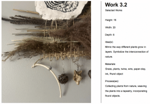 AP 3-D Art and Design