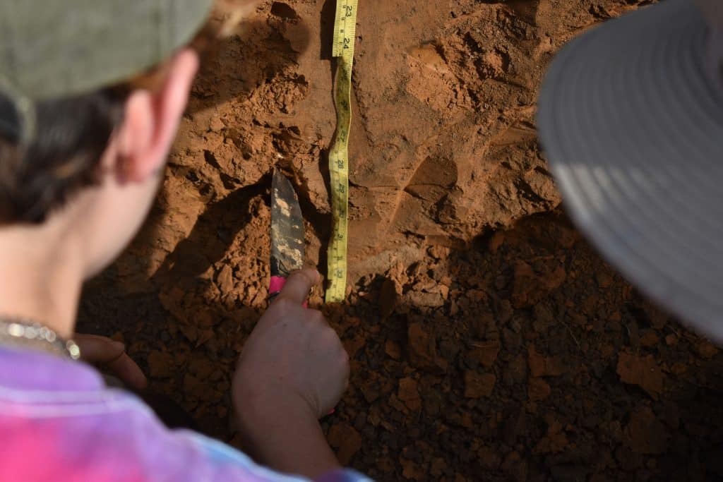 Archaeology students measuring and excavating soil at a dig site, representing fieldwork at the best colleges for archaeology
