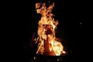 Fun Facts about Berkeley