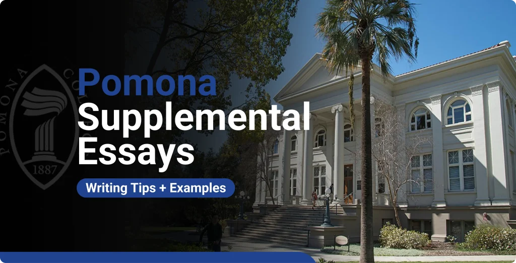 Pomona Supplemental Essays