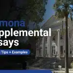 Pomona Supplemental Essays