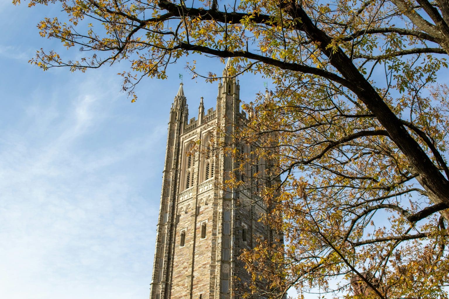 Princeton Cost Breakdown: Tuition, Financial Aid, and More | AdmissionSight