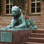 Is Princeton Test-Optional? Requirements + Tips