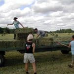 National FFA Organization: A Complete Guide