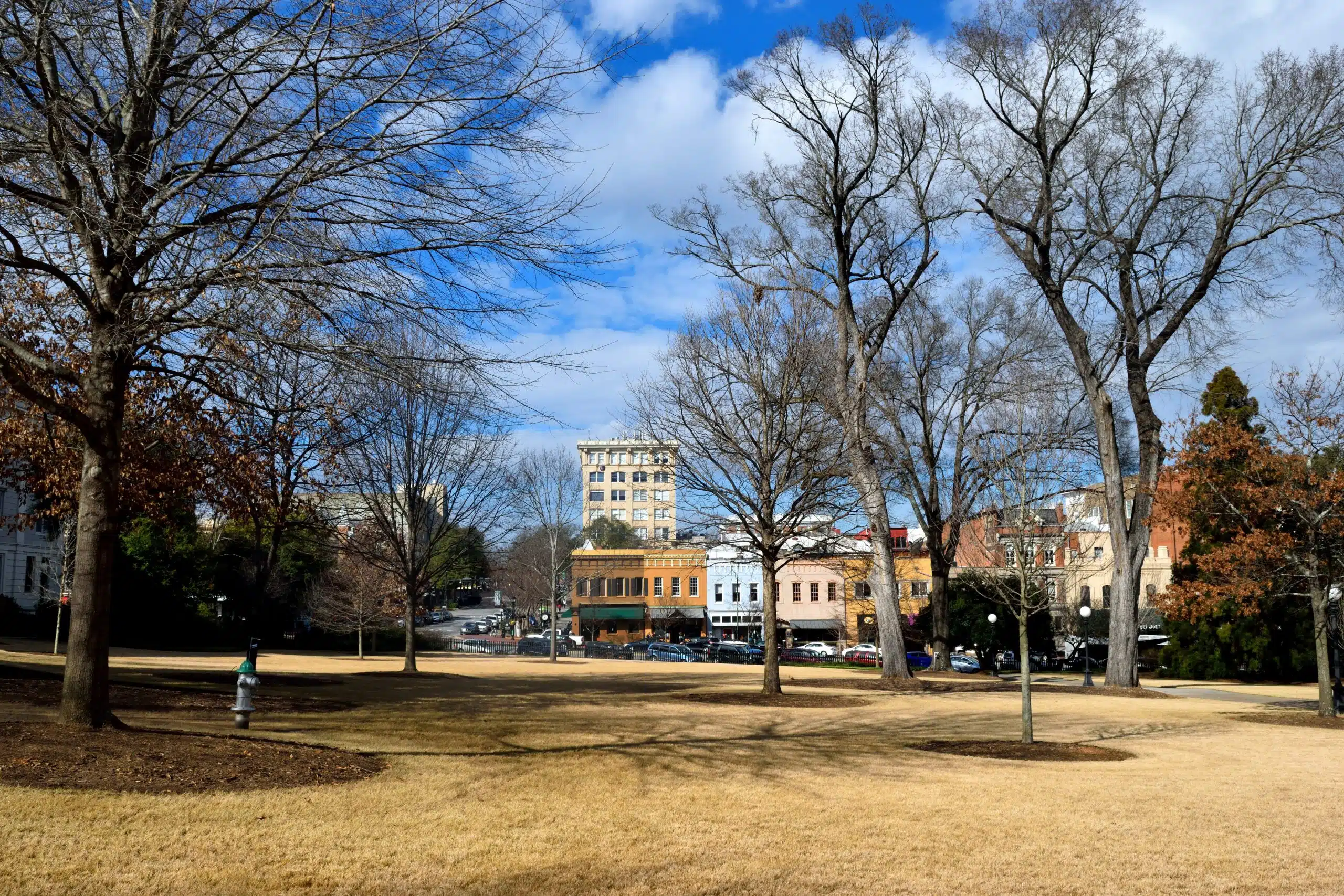 View of a tree-lined green space near the University of Georgia campus, with historic buildings and downtown Athens in the background, illustrating the setting behind discussions of the UGA acceptance rate.