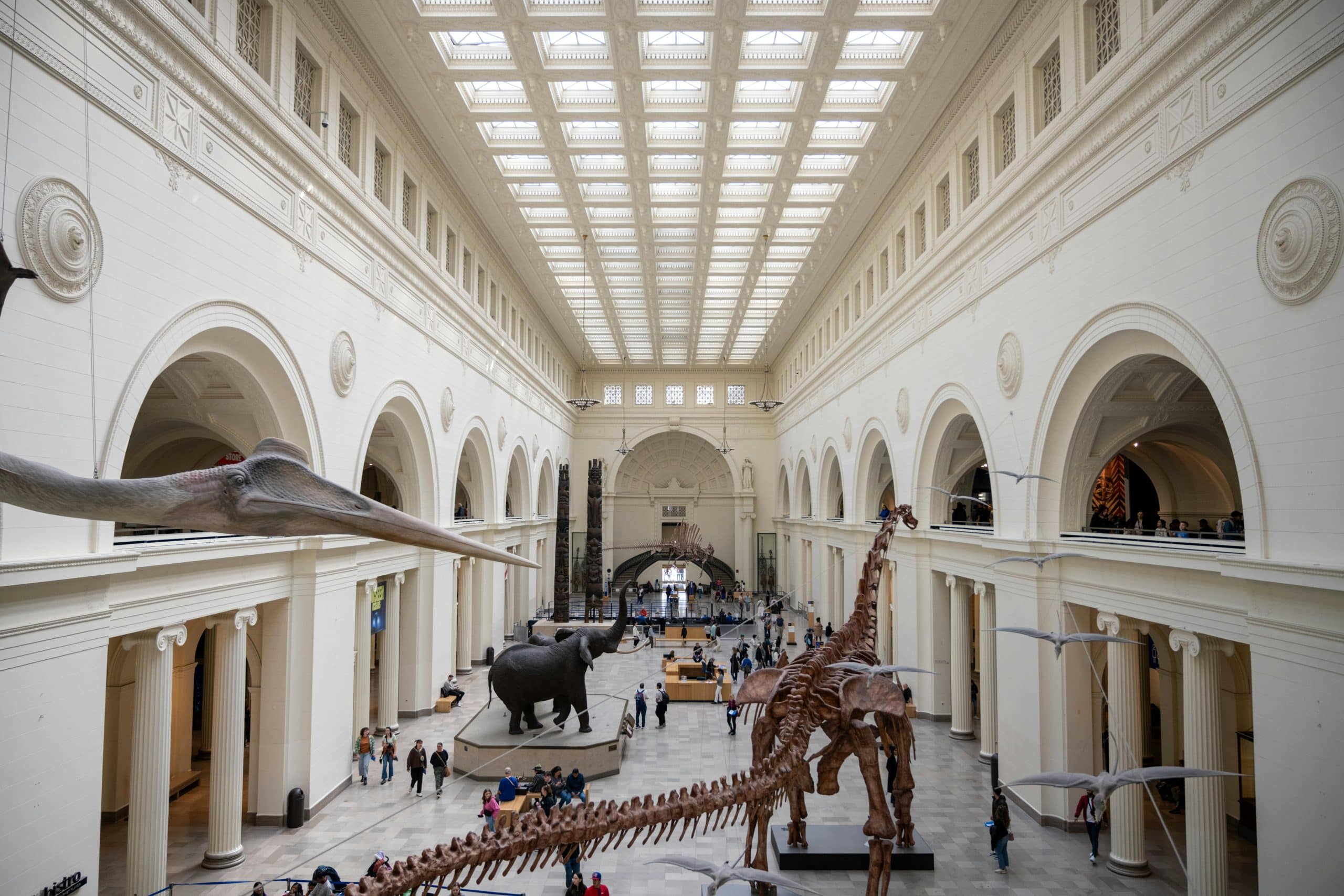 field museum for the stones and bones summer program in uchicago